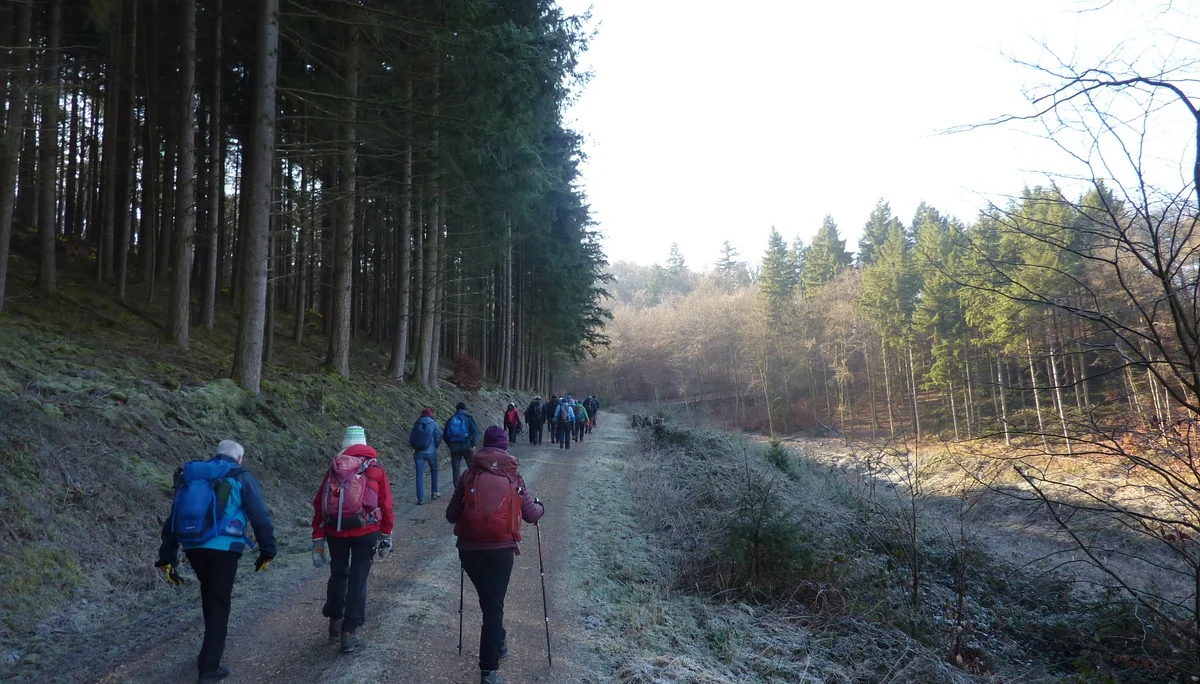 Waldweg im Ortsbachtal | © DAV Koblenz