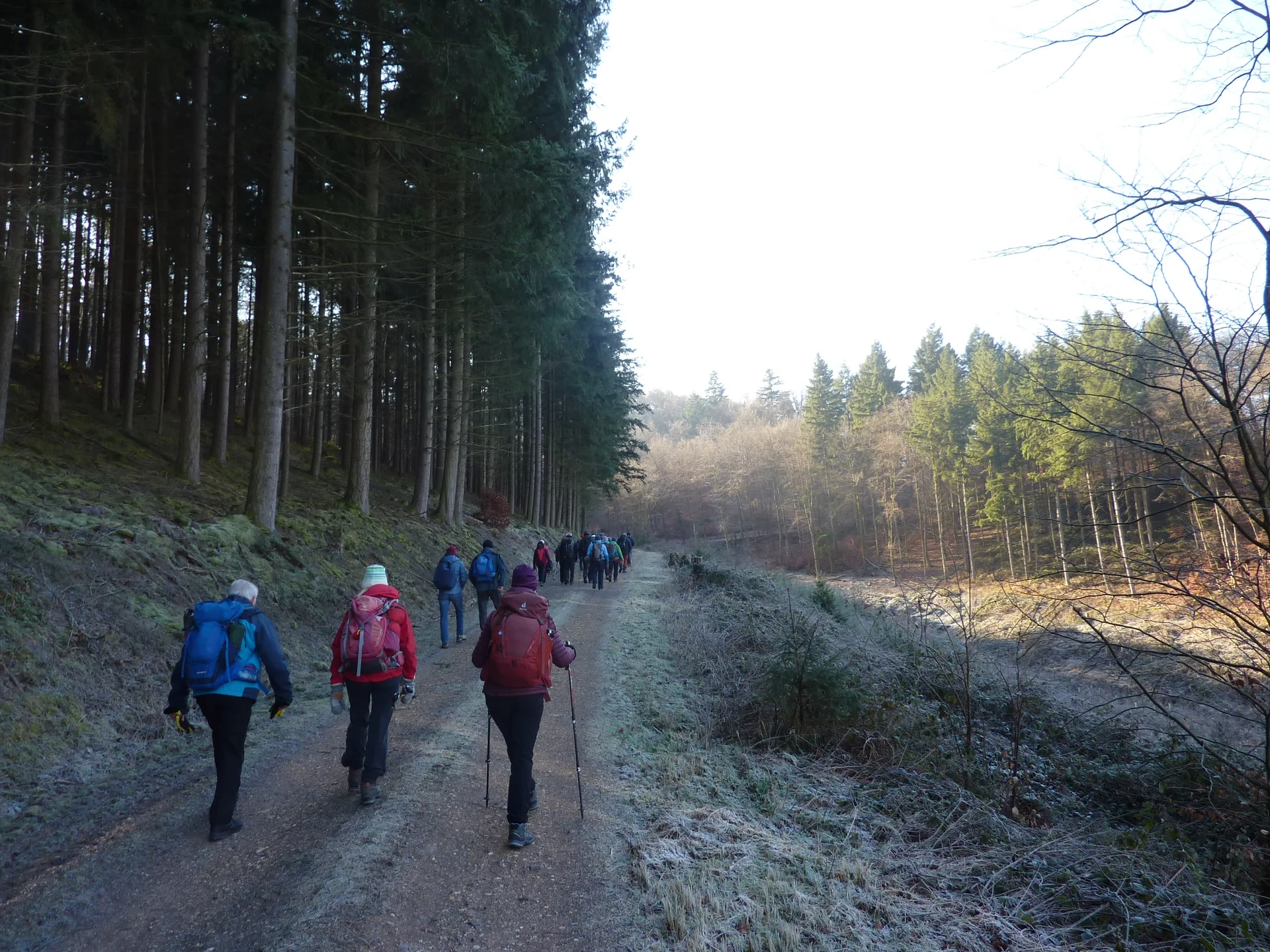 Waldweg im Ortsbachtal | © DAV Koblenz