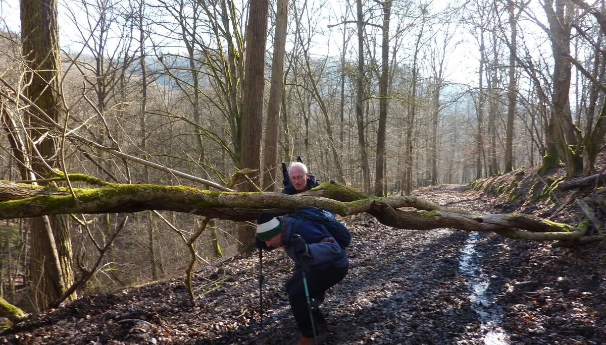 Einer geht noch... | © DAV Koblenz