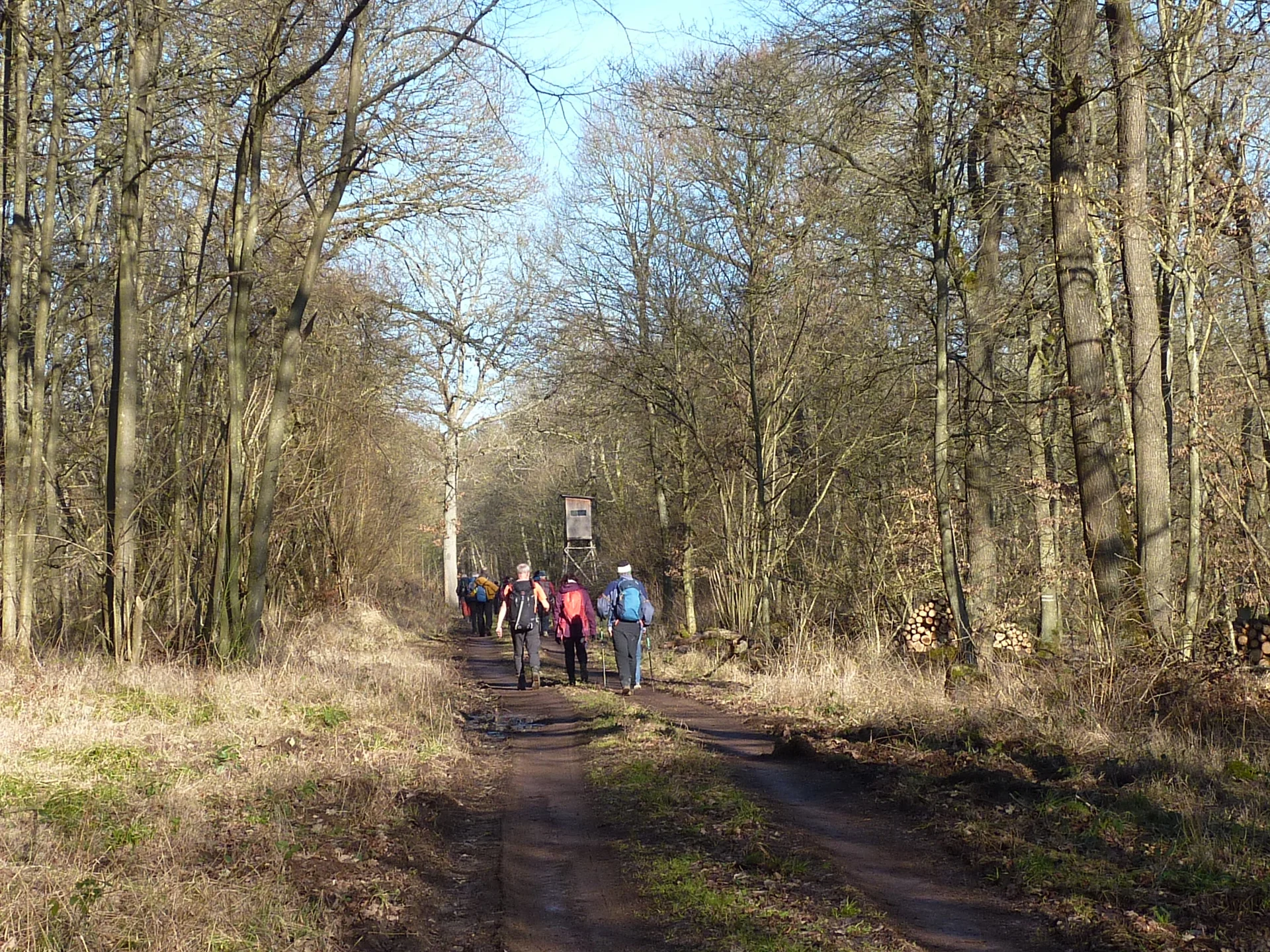 Ist das Buchenwald? | © DAV Koblenz