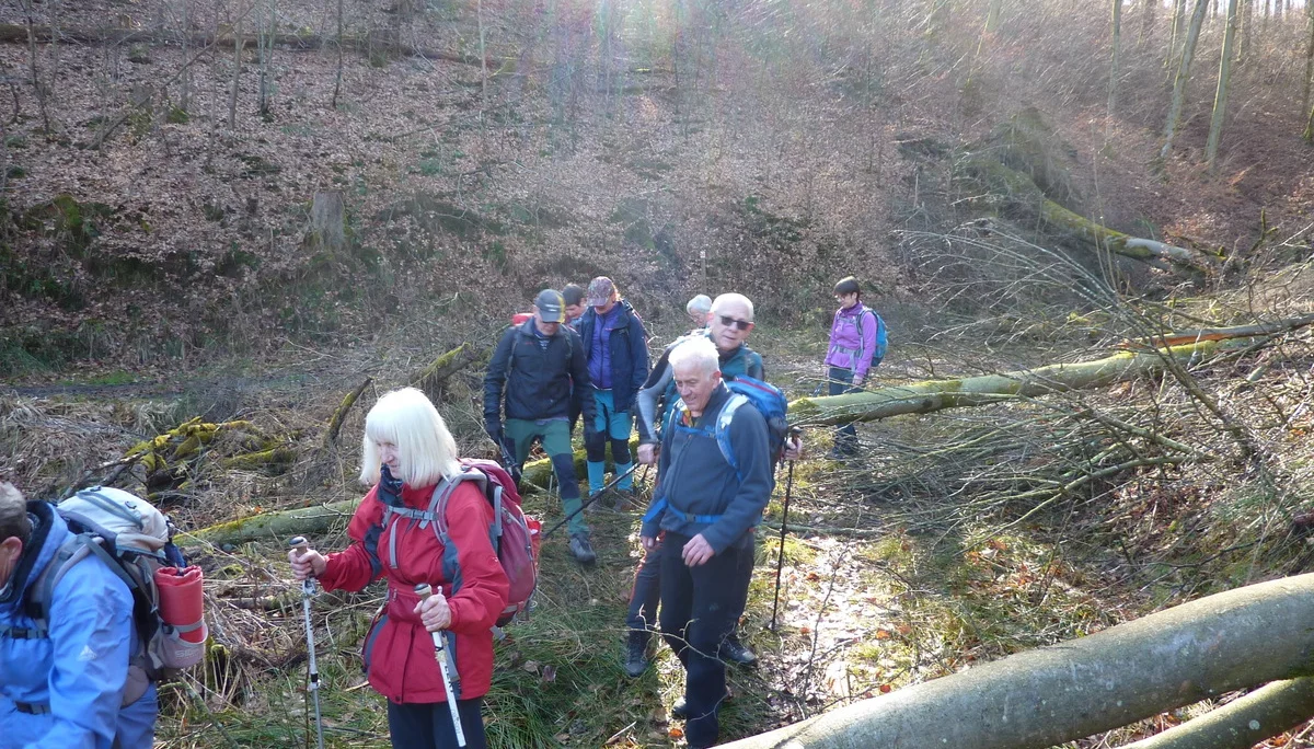 Streckenhindernisse | © DAV Koblenz
