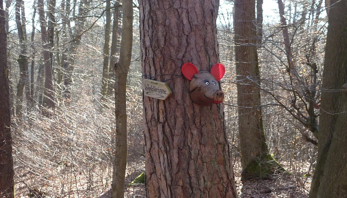 Impression Wichtelweg | © DAV Koblenz