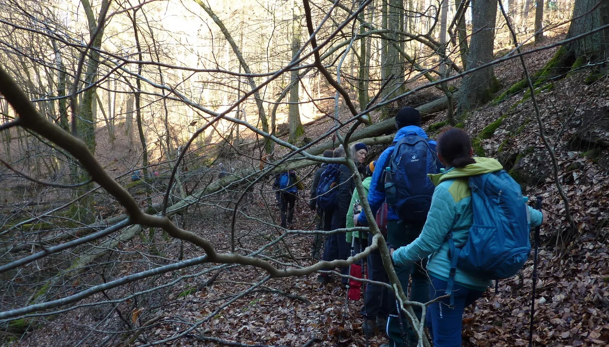 Heimischer Dschungel | © DAV Koblenz