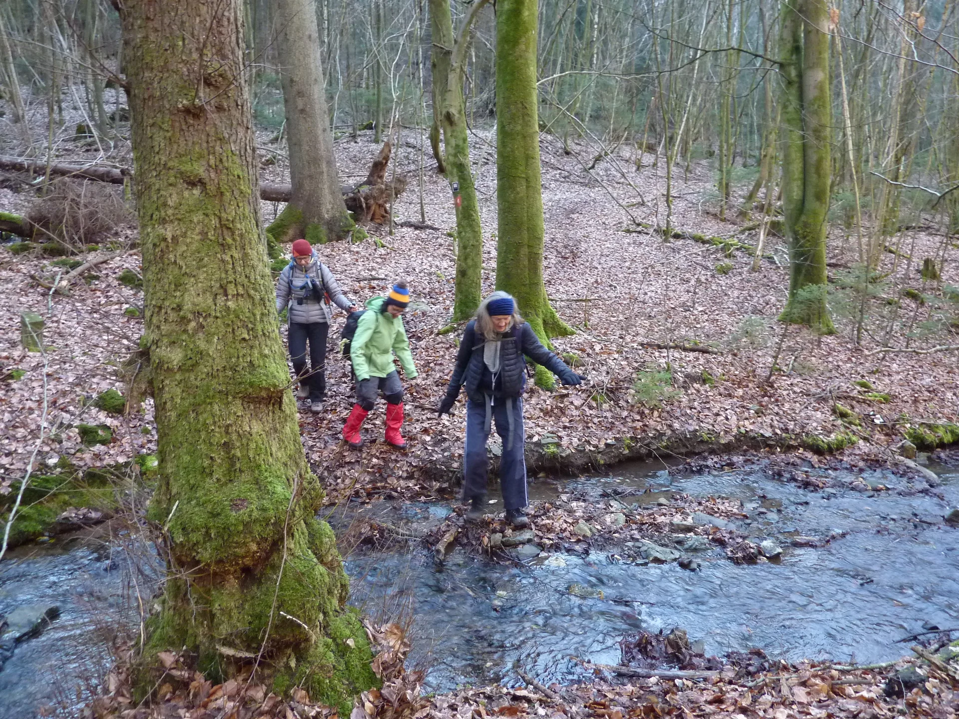 Bachüberquerung | © DAV Koblenz