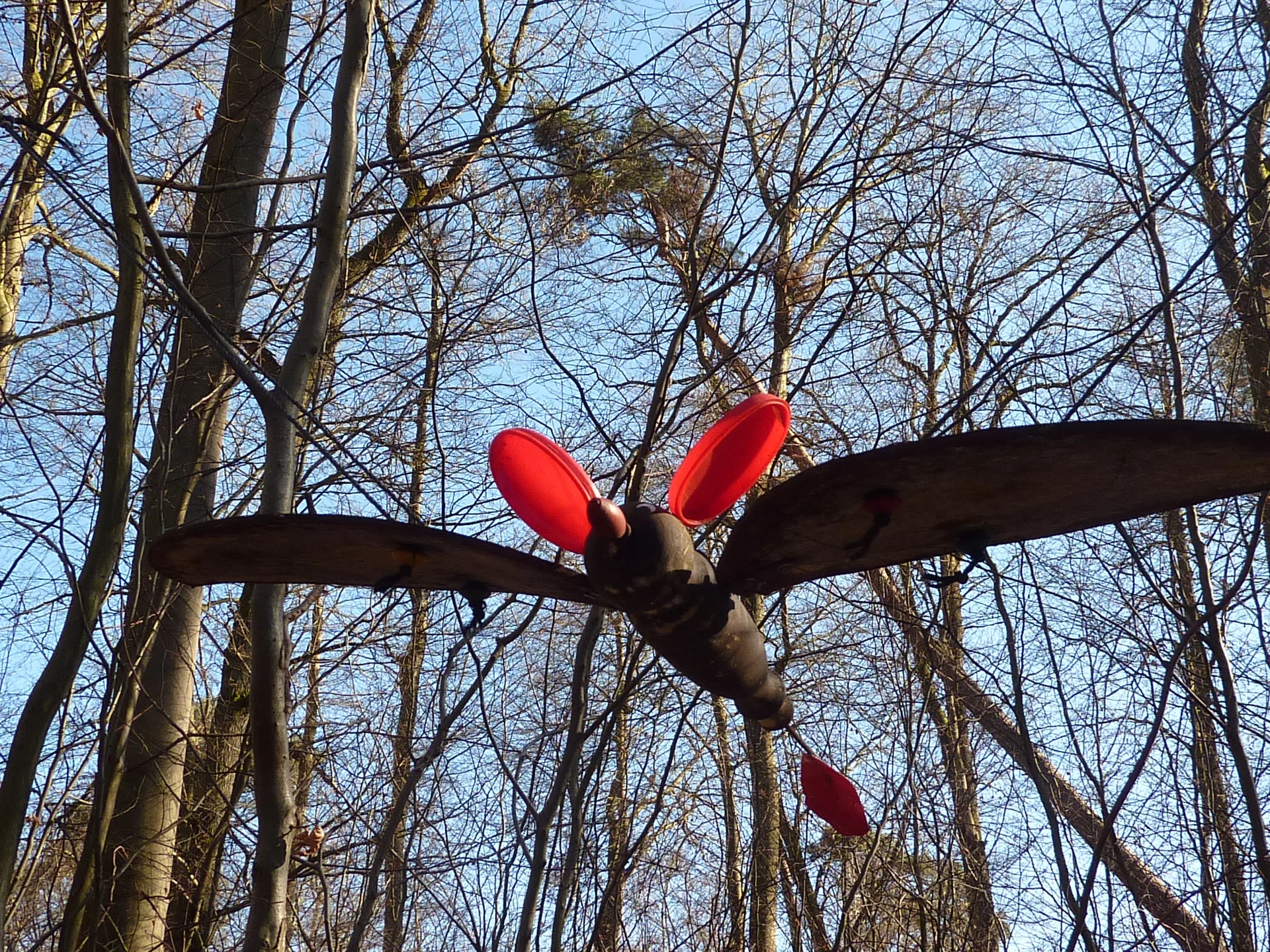 Lustiges Flug-Objekt | © DAV Koblenz