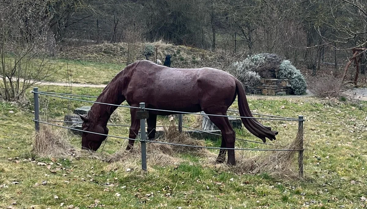 Tierisch sehenswert | © DAV Koblenz