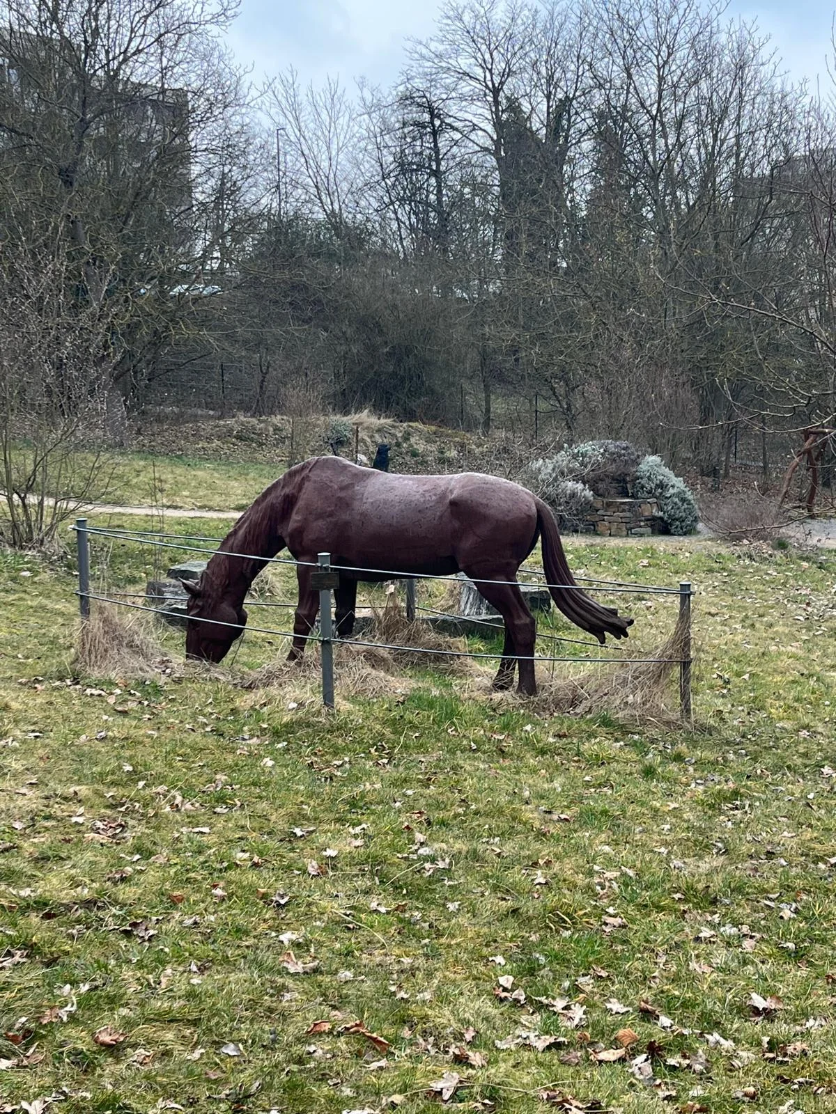 Tierisch sehenswert | © DAV Koblenz