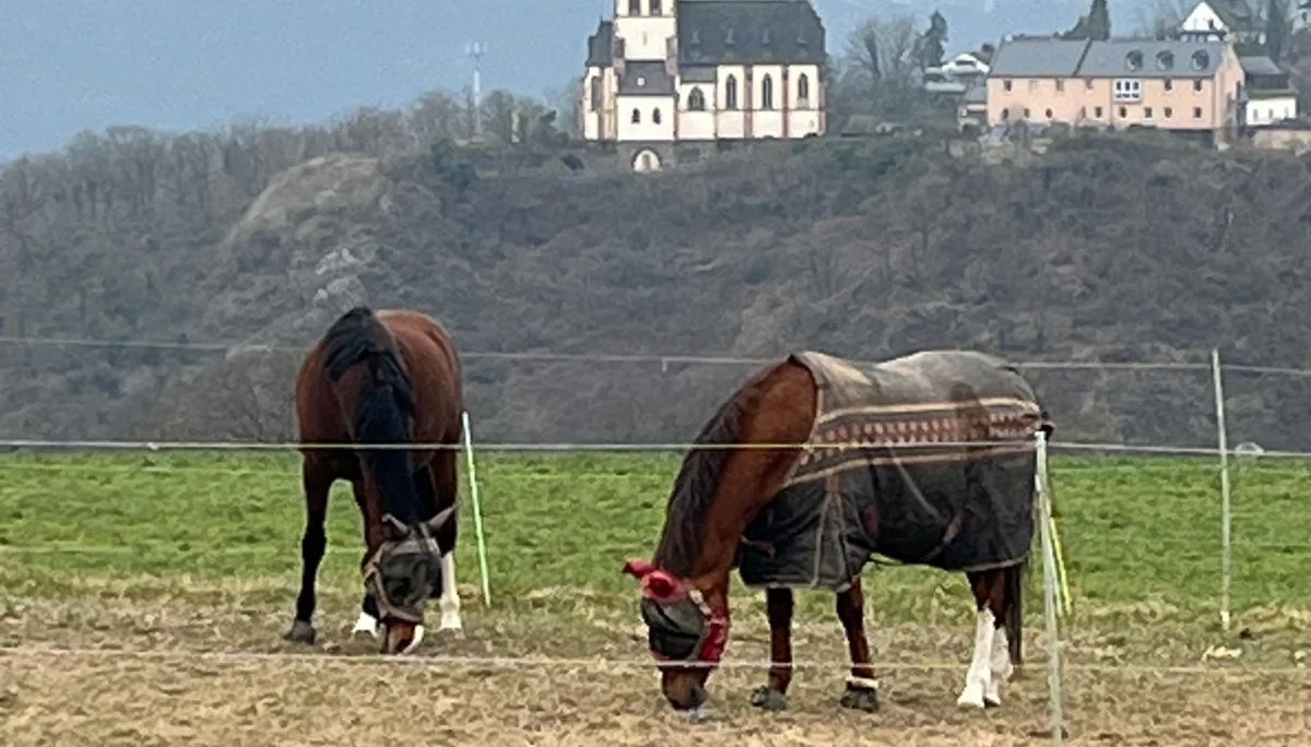 Blick Kirche und Pferd | © DAV Koblenz