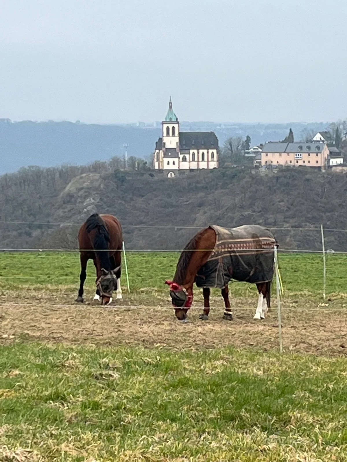 Blick Kirche und Pferd | © DAV Koblenz