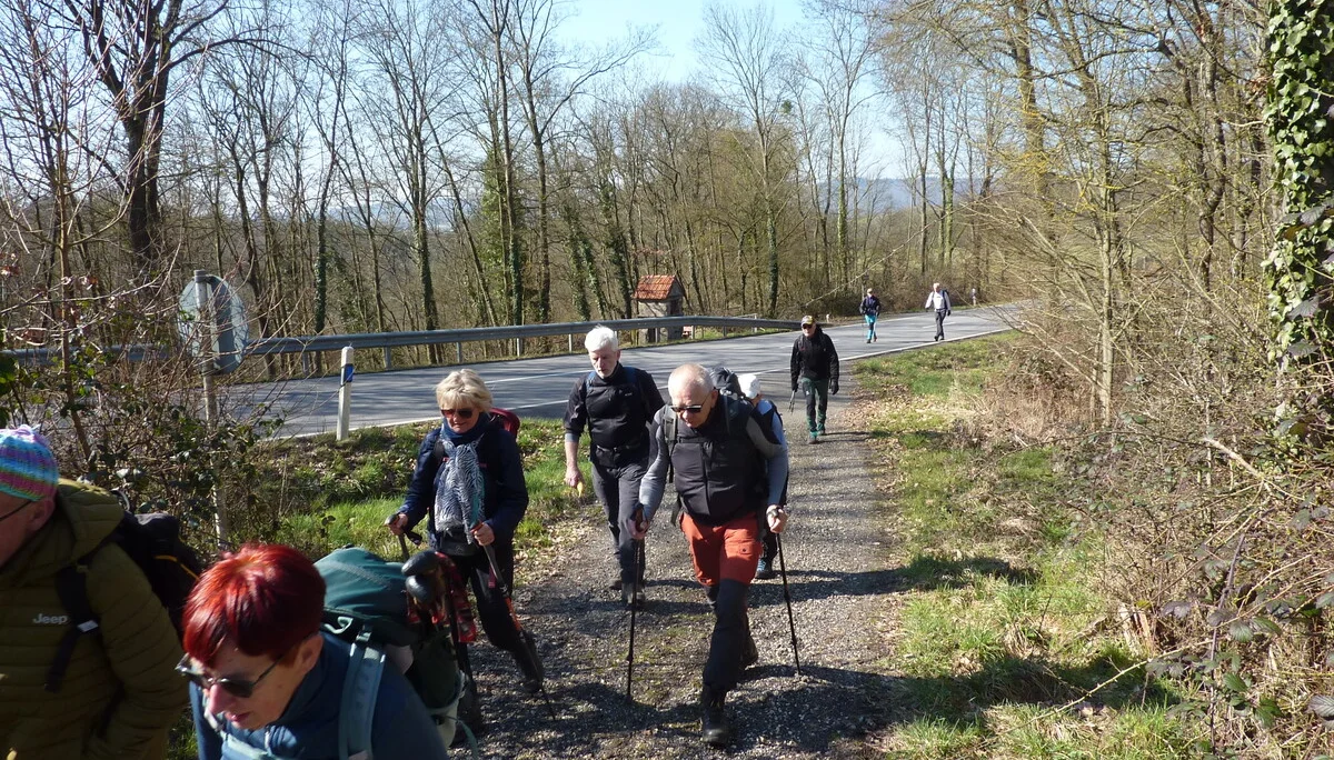 Abzweig Kur- und Heilwald | © DAV Koblenz