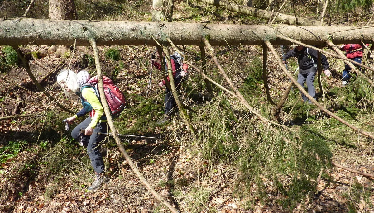 Ein wenig Hindernis | © DAV Koblenz