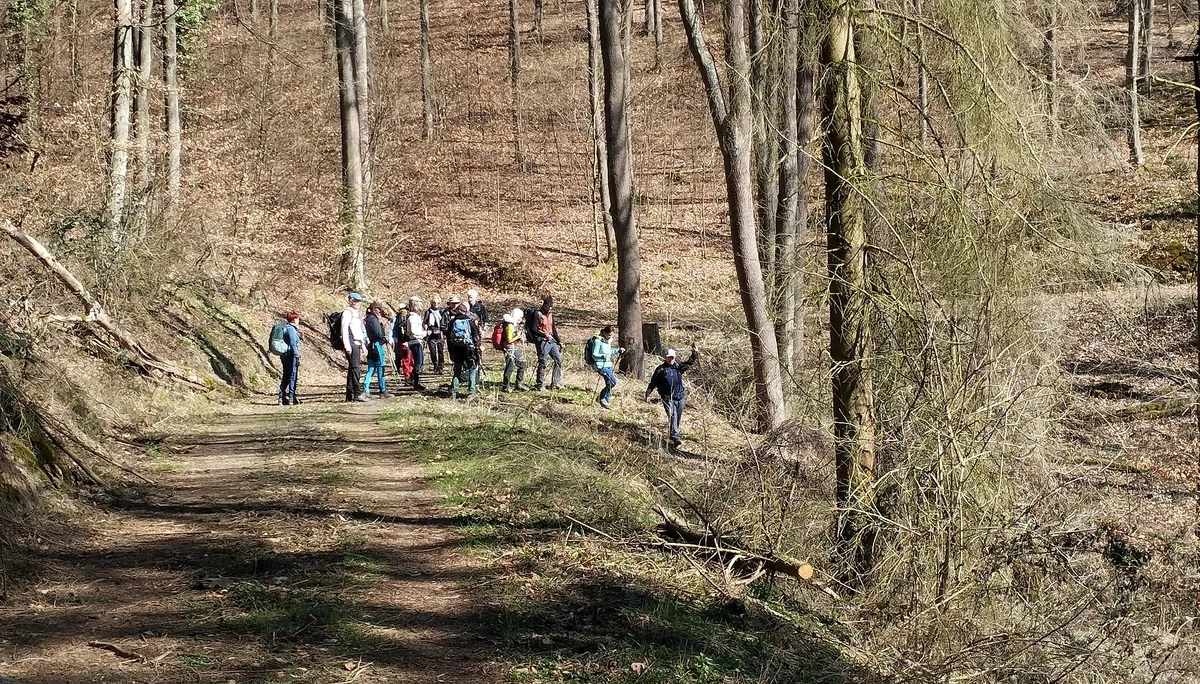 Immer mir nach! | © DAV Koblenz