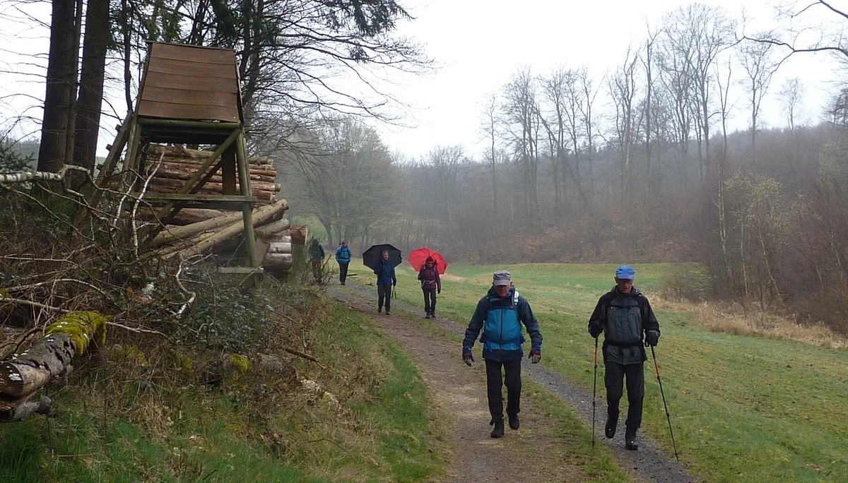 Wanderung bei naß-kaltem Wetter | © DAV Koblenz