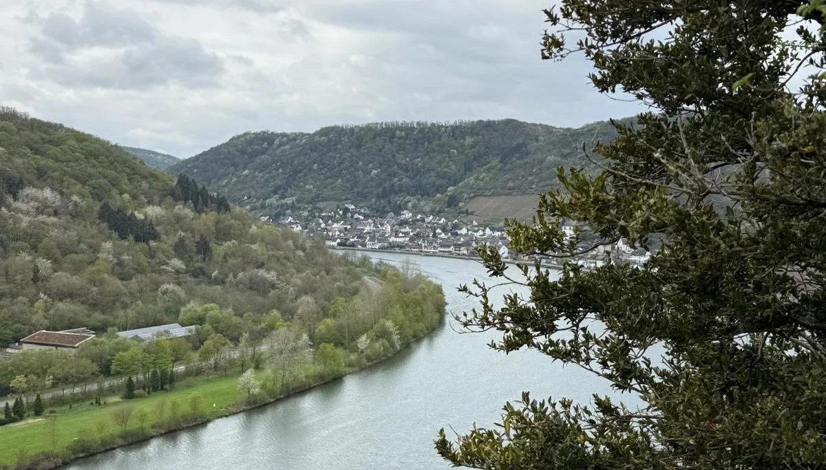 Ausblick Mosel | © DAV Koblenz
