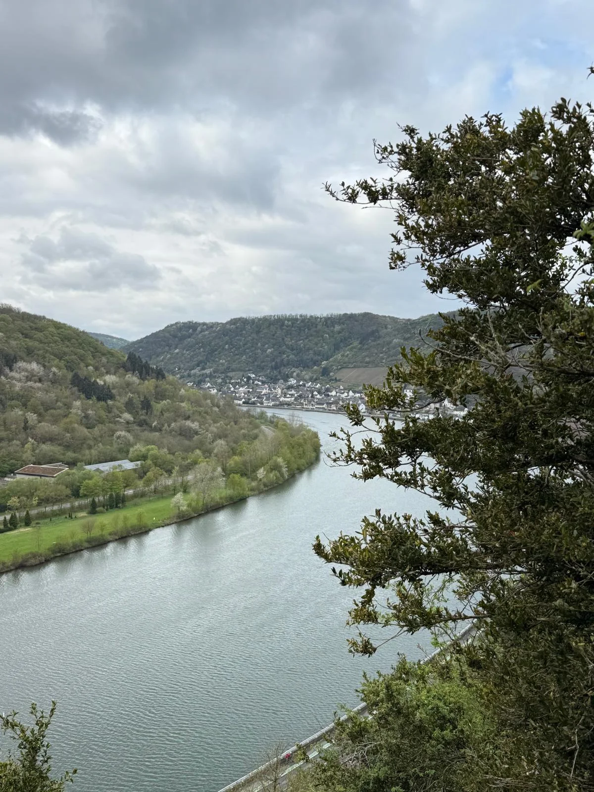 Ausblick Mosel | © DAV Koblenz