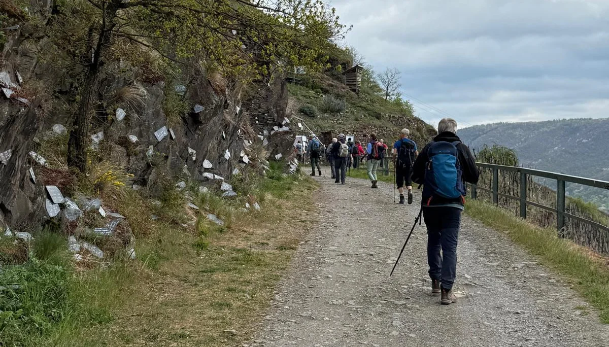 Auf der Krabaun | © DAV Koblenz
