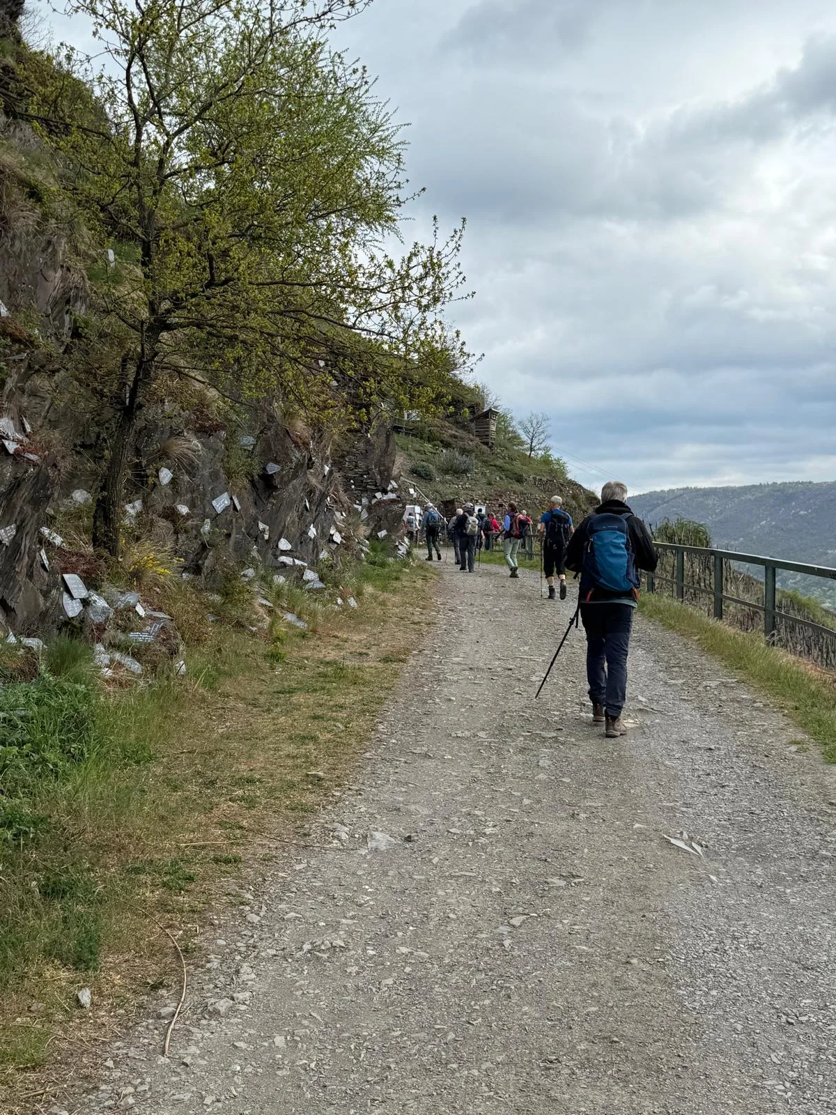 Auf der Krabaun | © DAV Koblenz