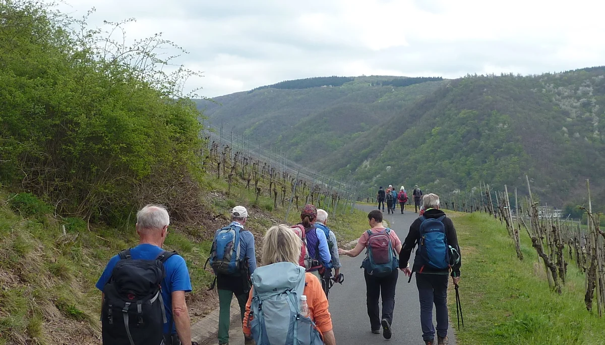 In der Weinlage Müden | © DAV Koblenz