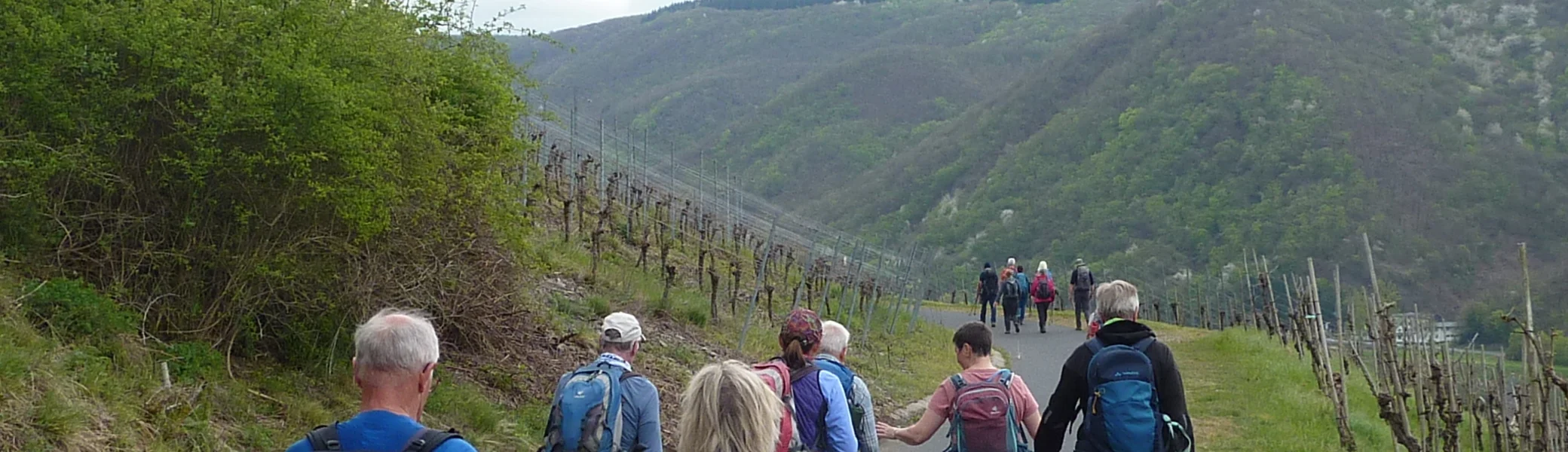In der Weinlage Müden | © DAV Koblenz
