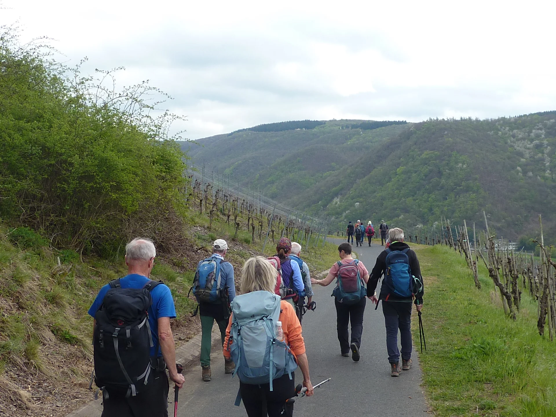 In der Weinlage Müden | © DAV Koblenz