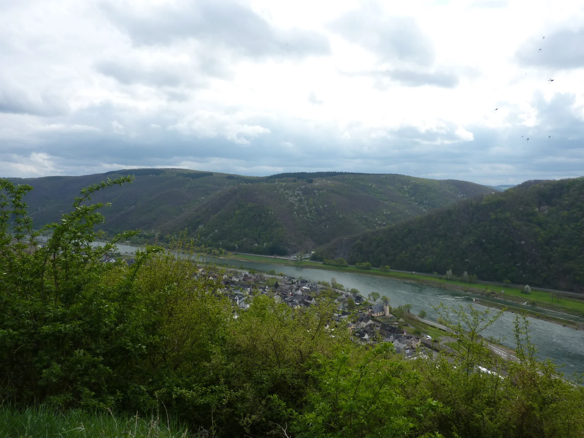 Ausblick Mosel | © DAV Koblenz