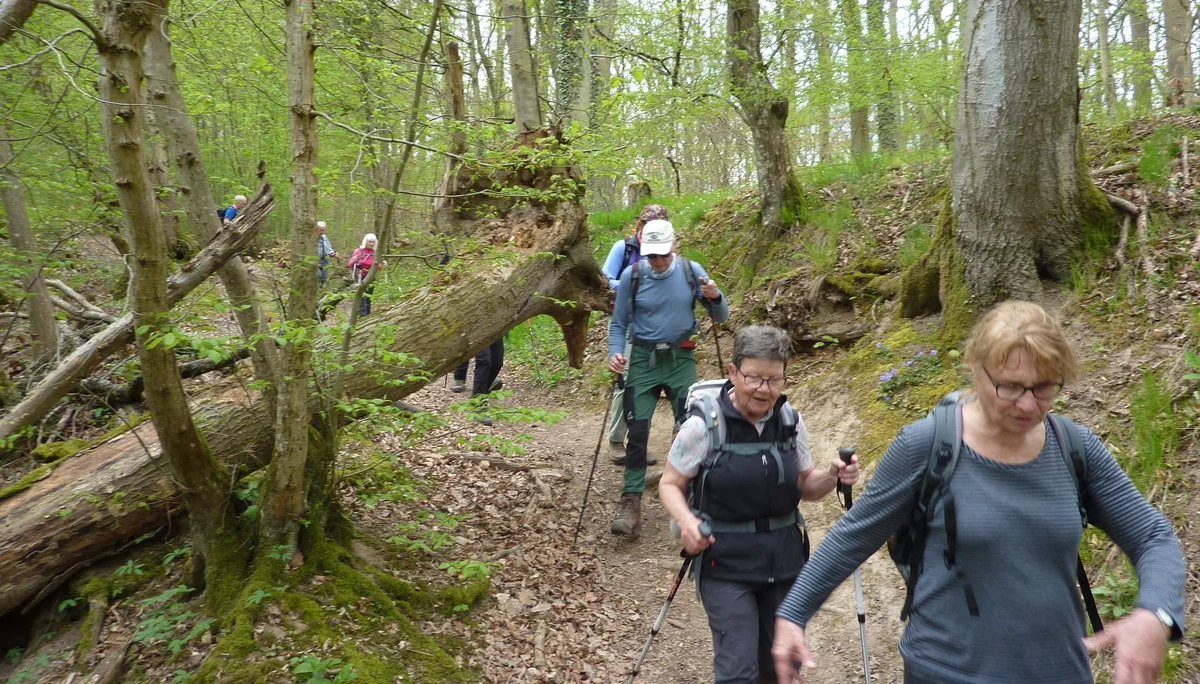 Grat-Wanderung | © DAV Koblenz