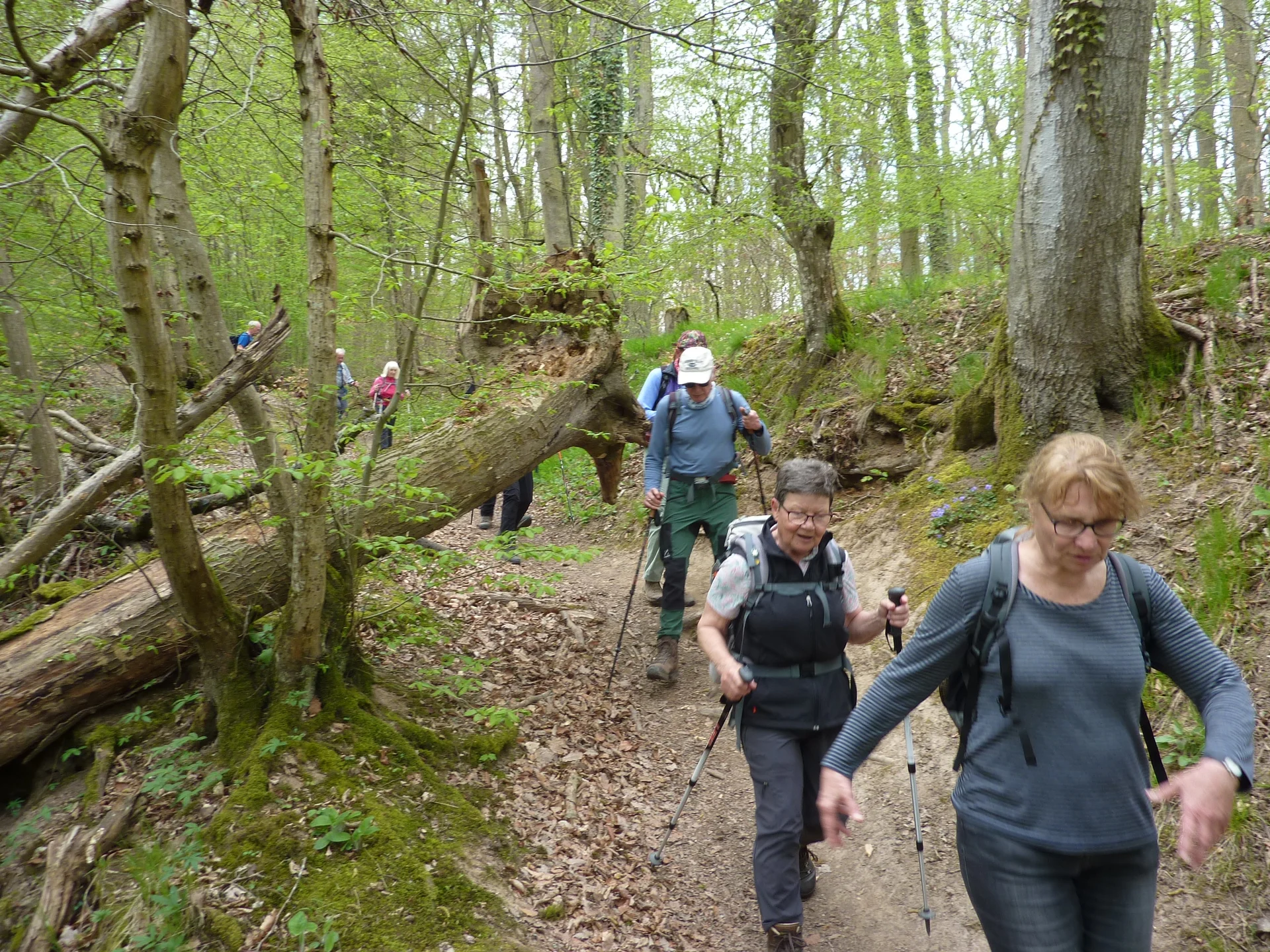 Grat-Wanderung | © DAV Koblenz