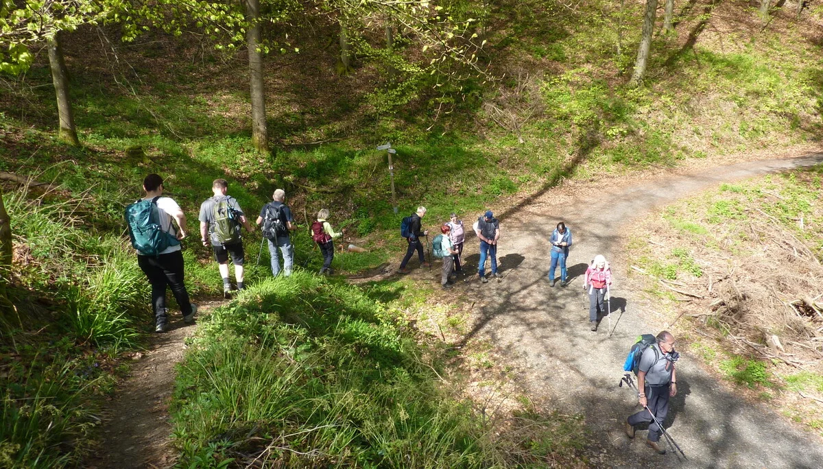 Wieder am Traumpfad Förstersteig | © DAV Koblenz