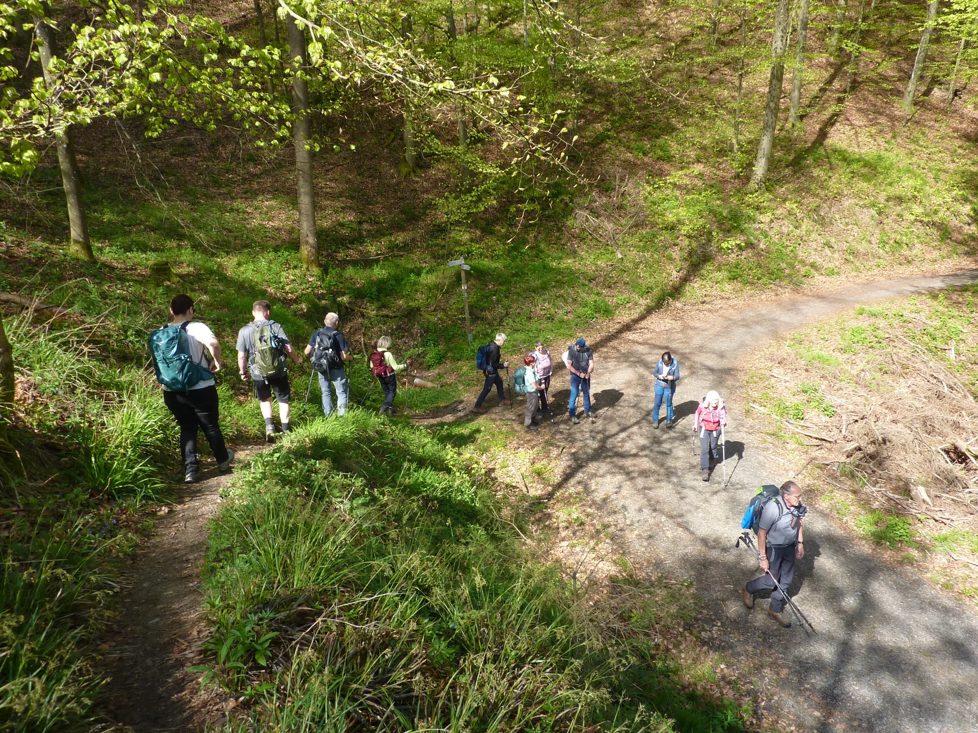 Wieder am Traumpfad Förstersteig | © DAV Koblenz
