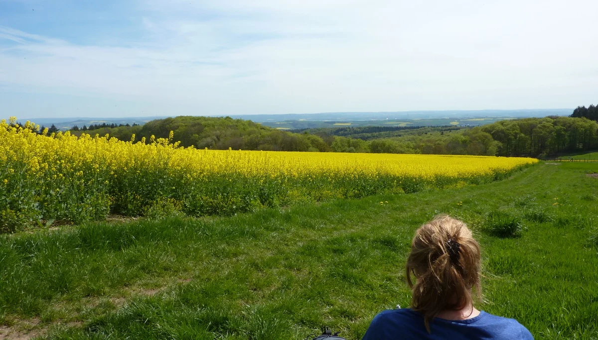 Blick vom Scheidkopf auf Wiesen und Felder  | © DAV Koblenz