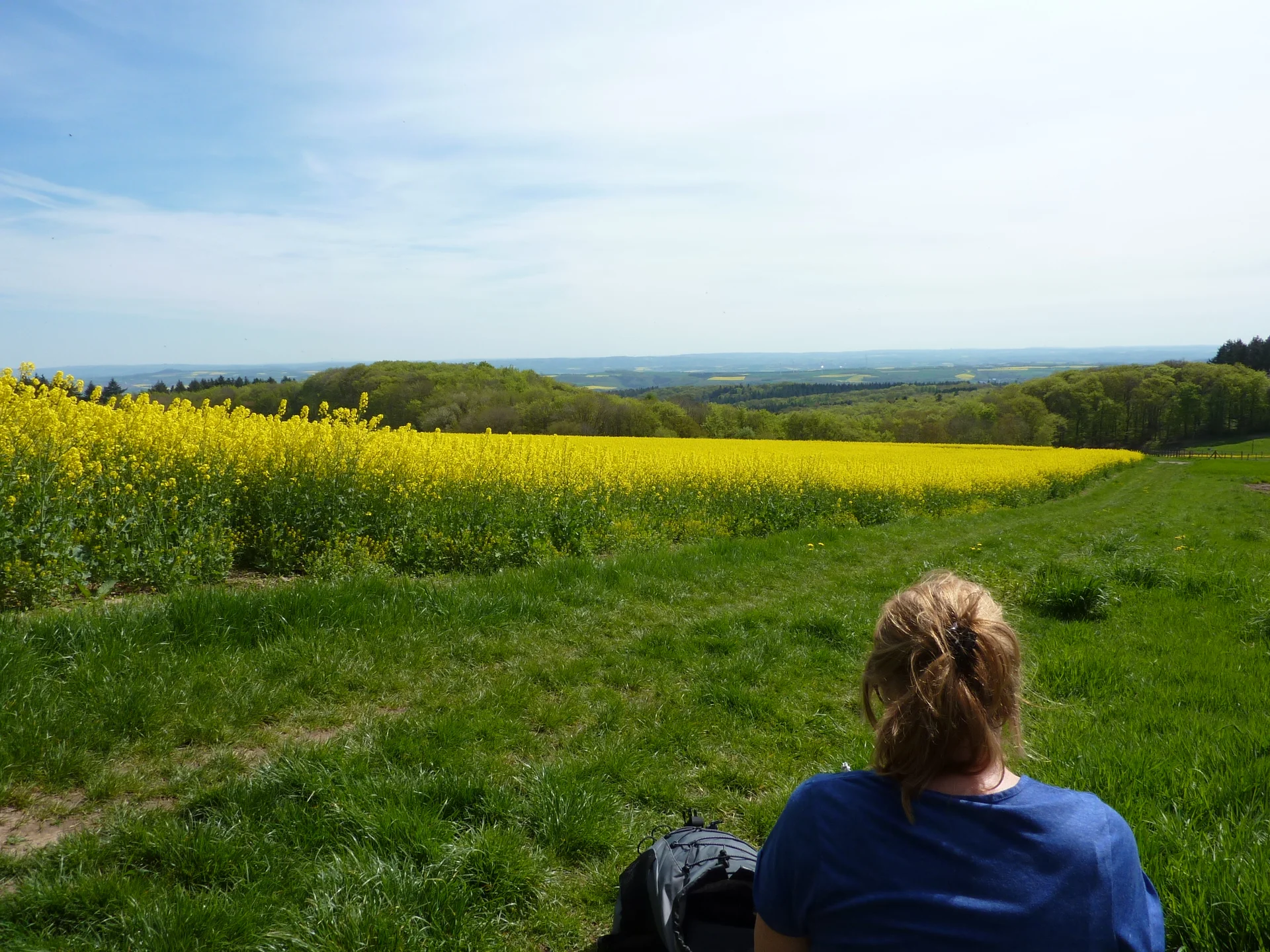 Blick vom Scheidkopf auf Wiesen und Felder  | © DAV Koblenz