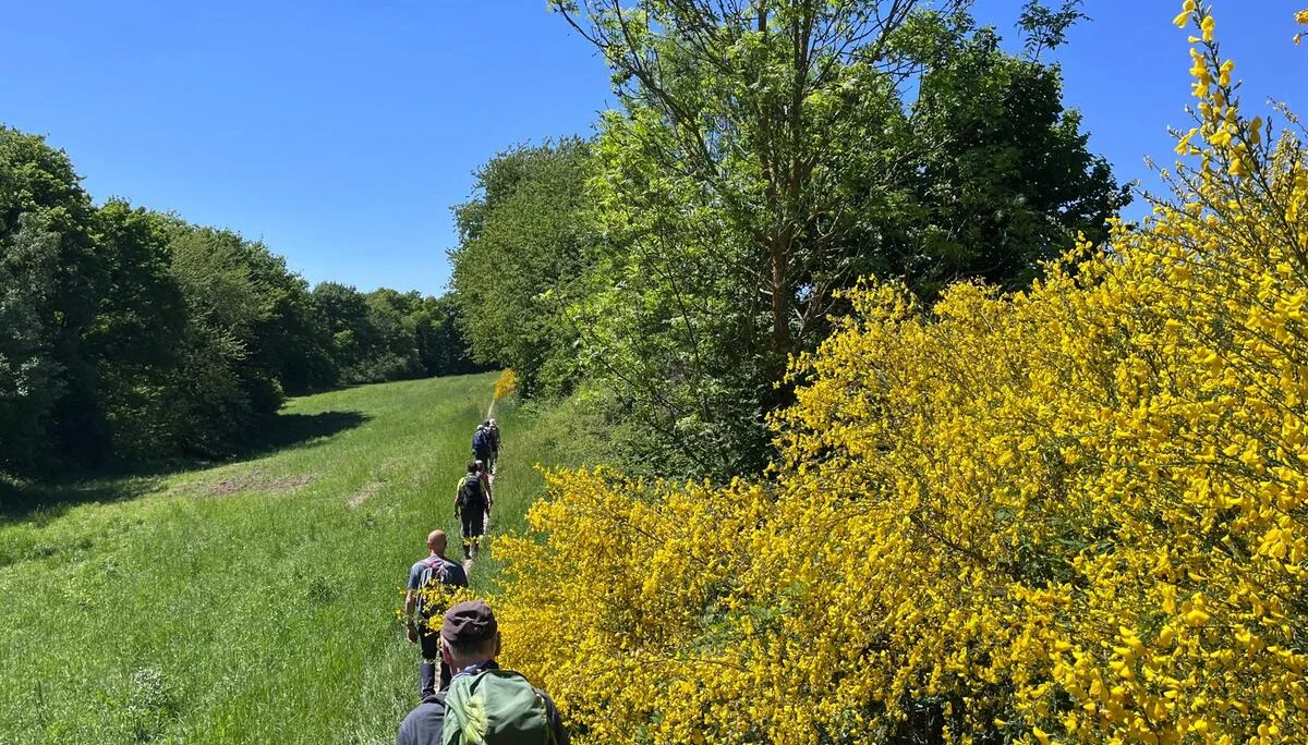 Reizvolle Landschaft | © DAV Koblenz
