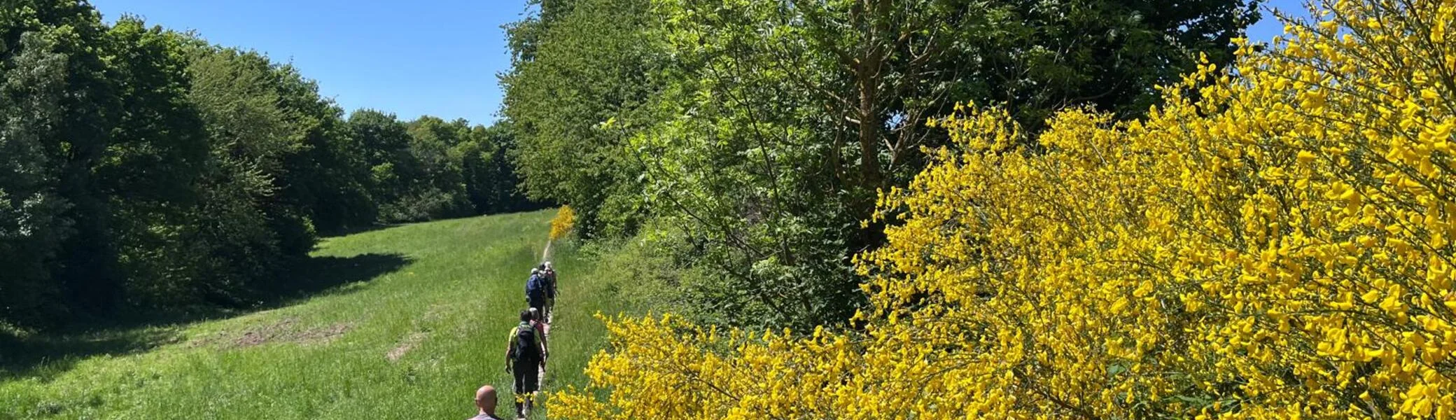 Reizvolle Landschaft | © DAV Koblenz