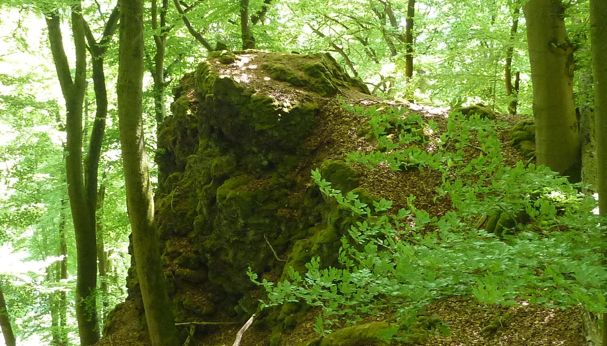 Felsen in nähe Teufelskanzel | © DAV Koblenz