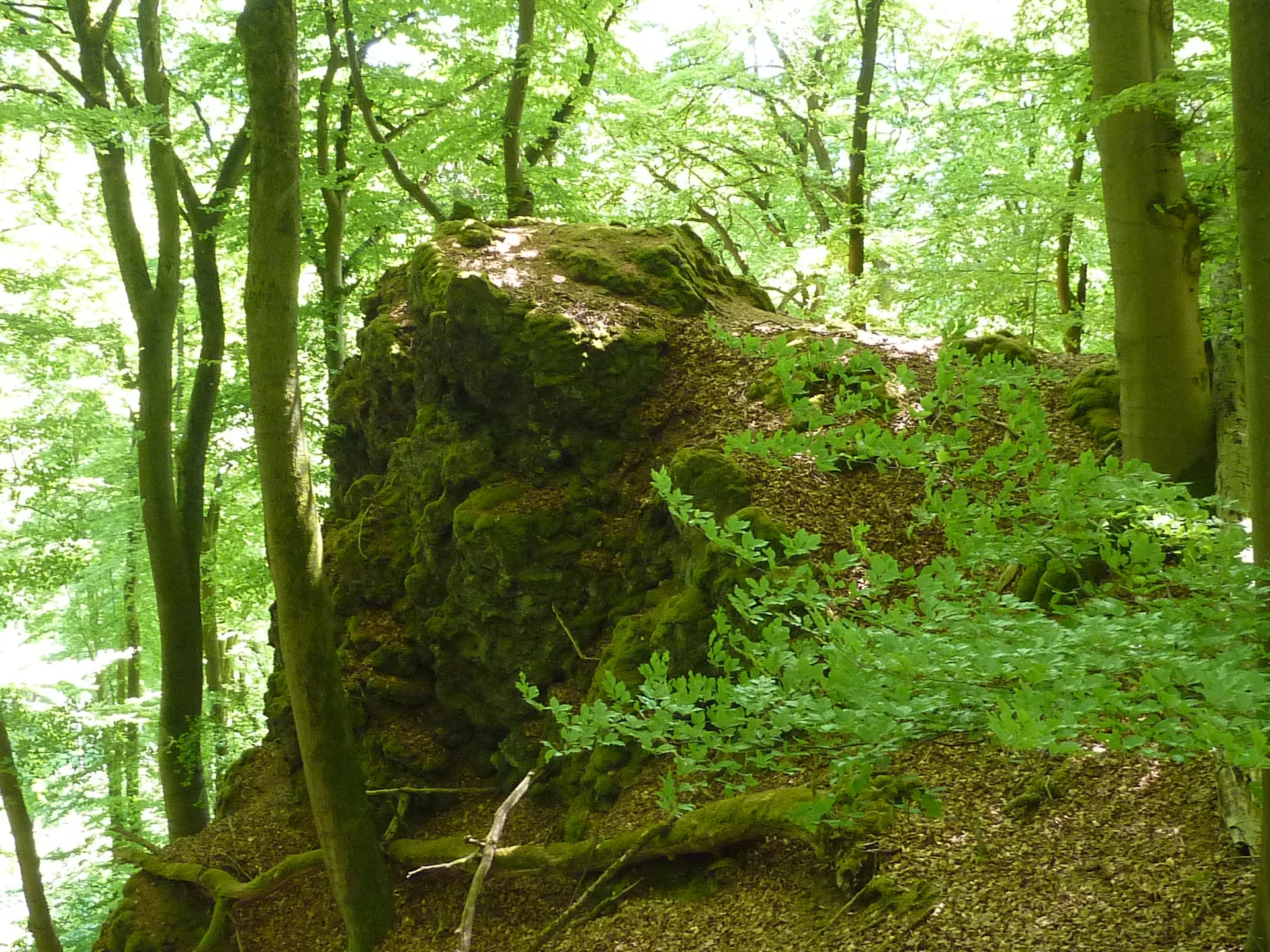 Felsen in nähe Teufelskanzel | © DAV Koblenz