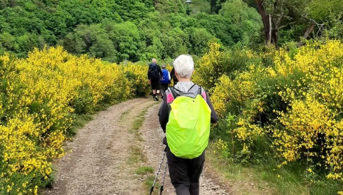 Entlang des Weges | © DAV Koblenz