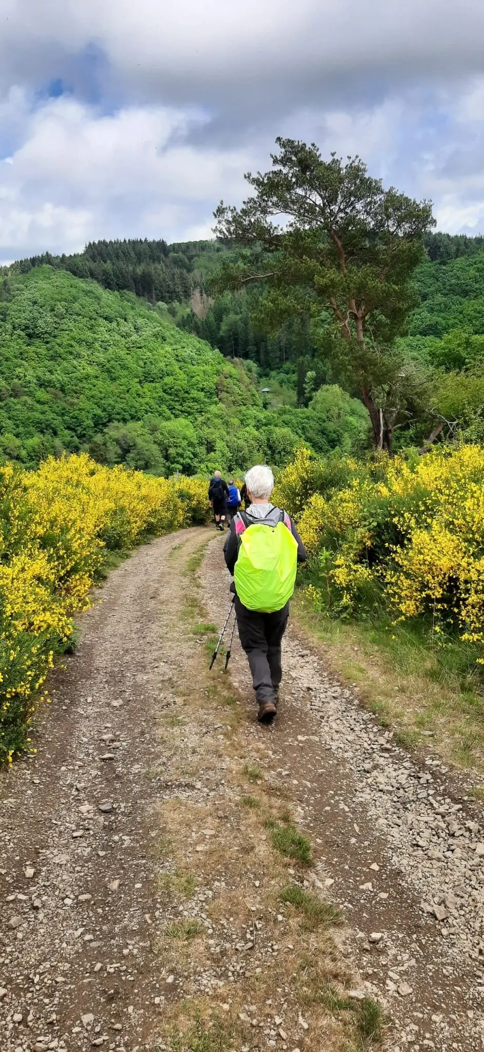 Entlang des Weges | © DAV Koblenz