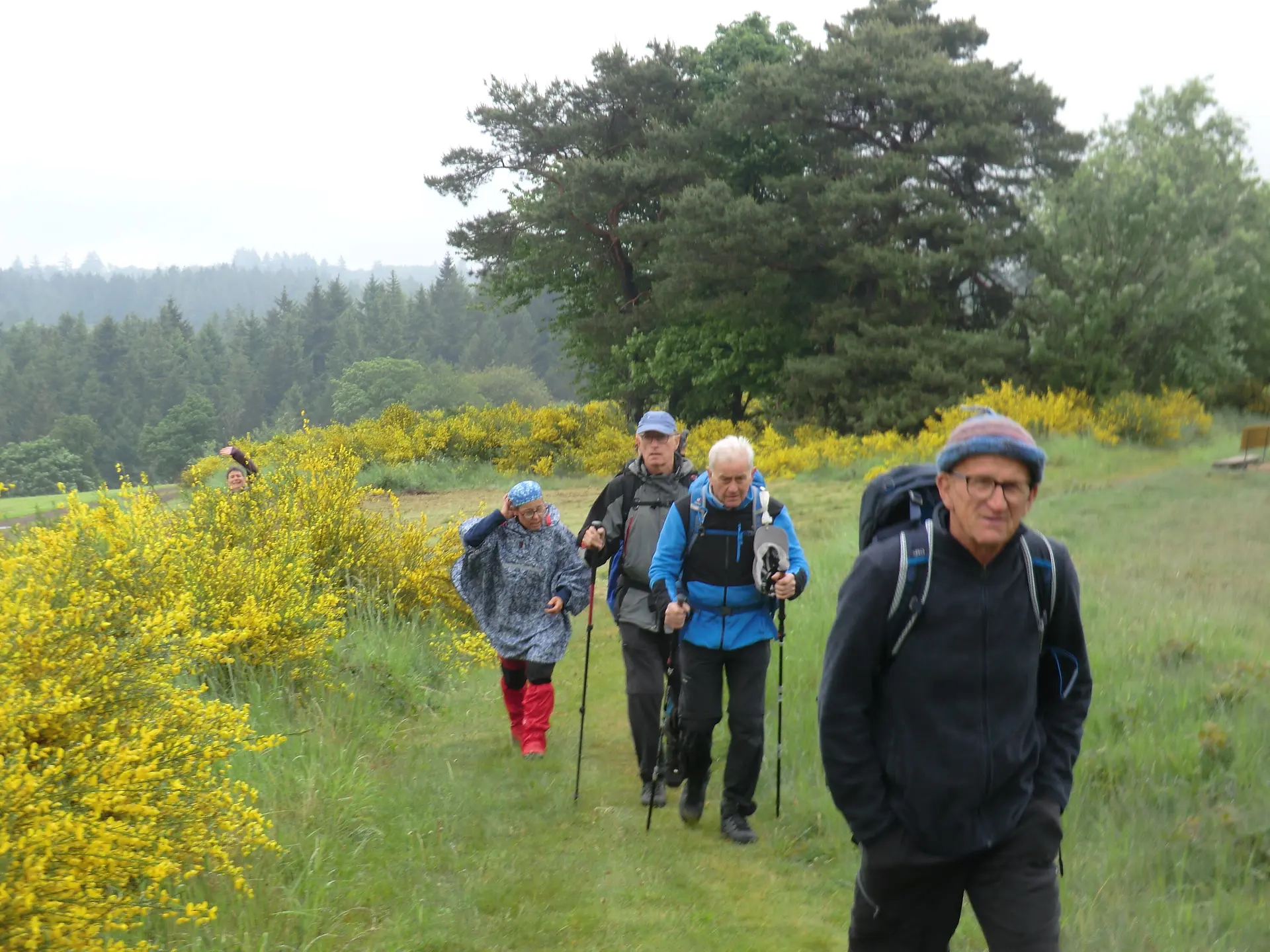 Wer versteckt sich da? | © DAV Koblenz