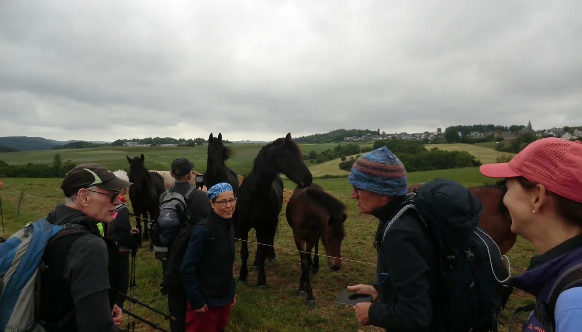 Tierische Abwechslung | © DAV Koblenz