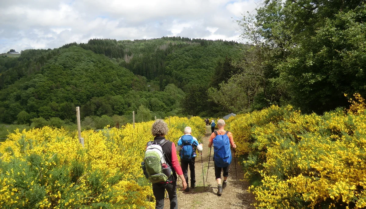Schöne Landschaft im Sonnenschein | © DAV Koblenz