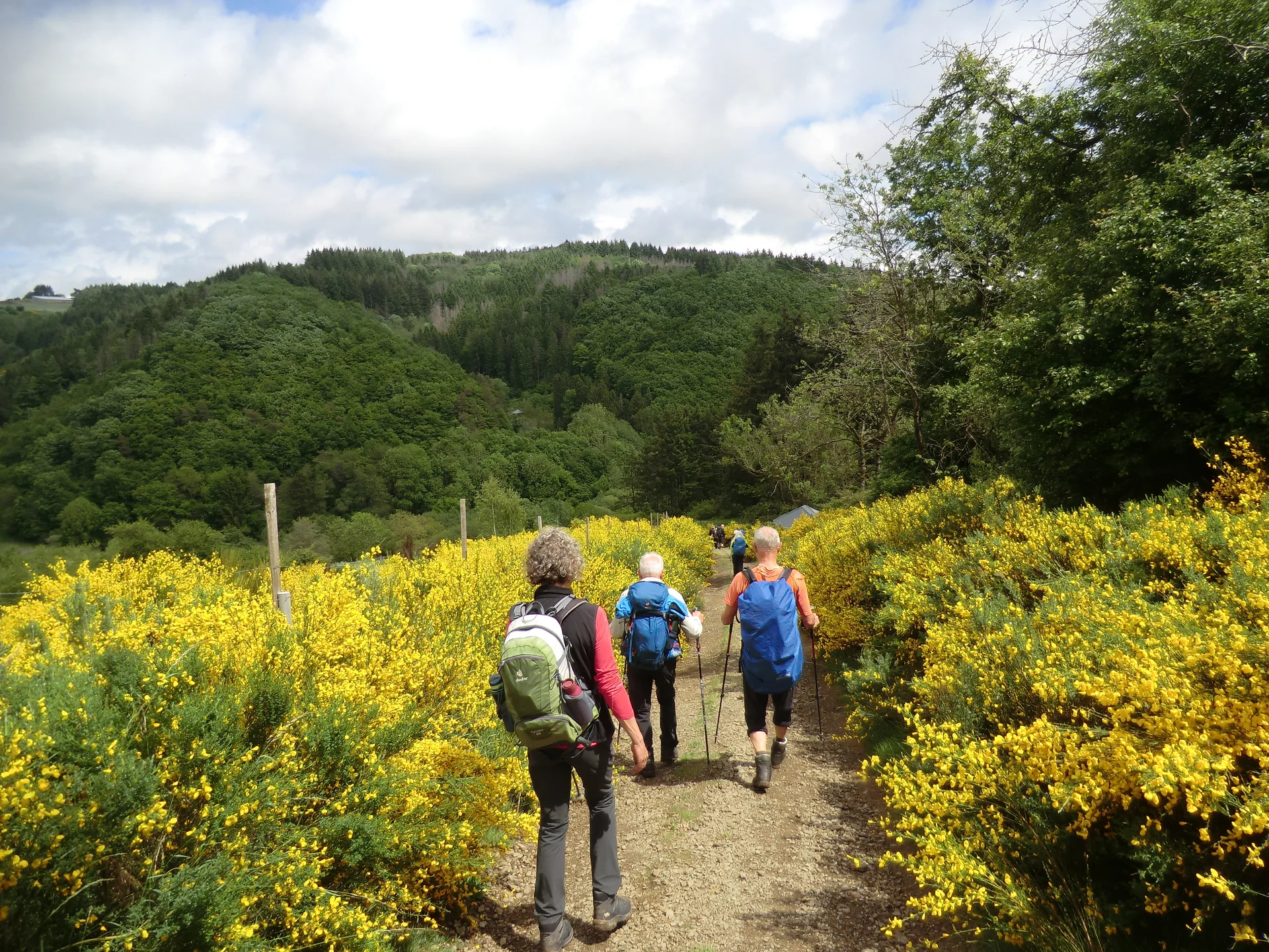 Schöne Landschaft im Sonnenschein | © DAV Koblenz
