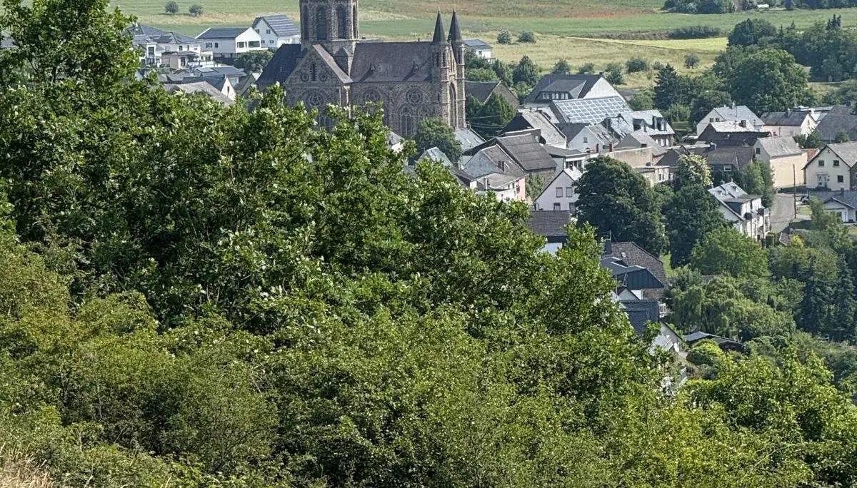 Aussicht auf Trimbs | © DAV Koblenz