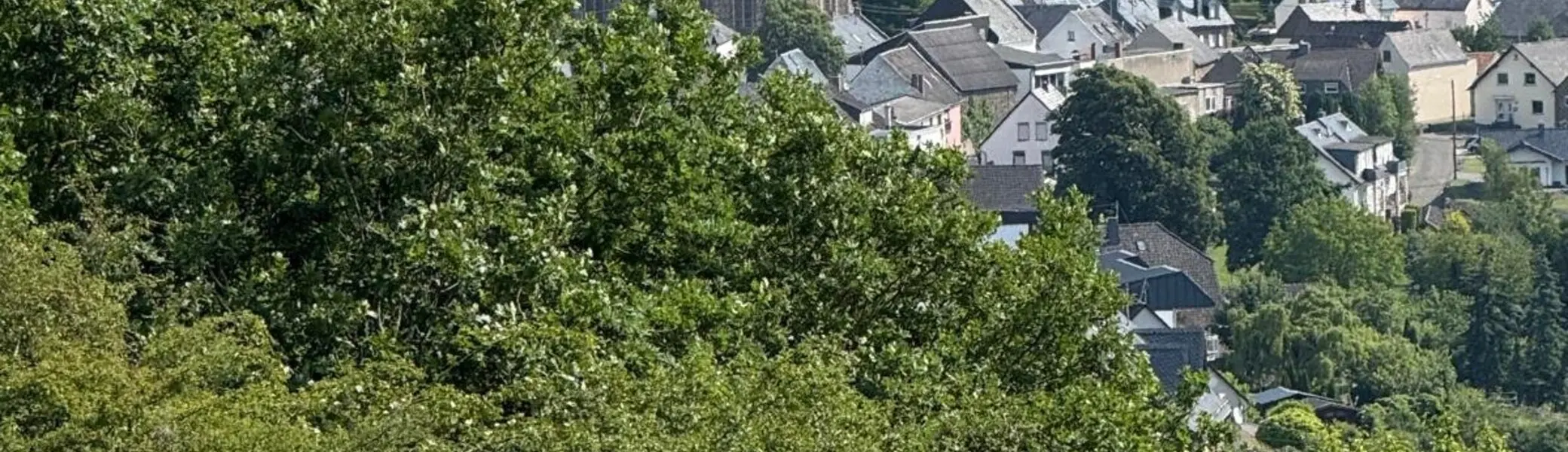 Aussicht auf Trimbs | © DAV Koblenz