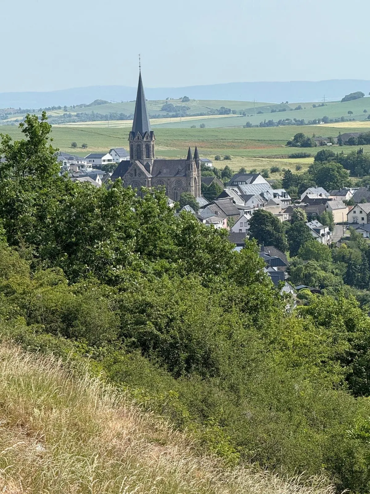Aussicht auf Trimbs | © DAV Koblenz