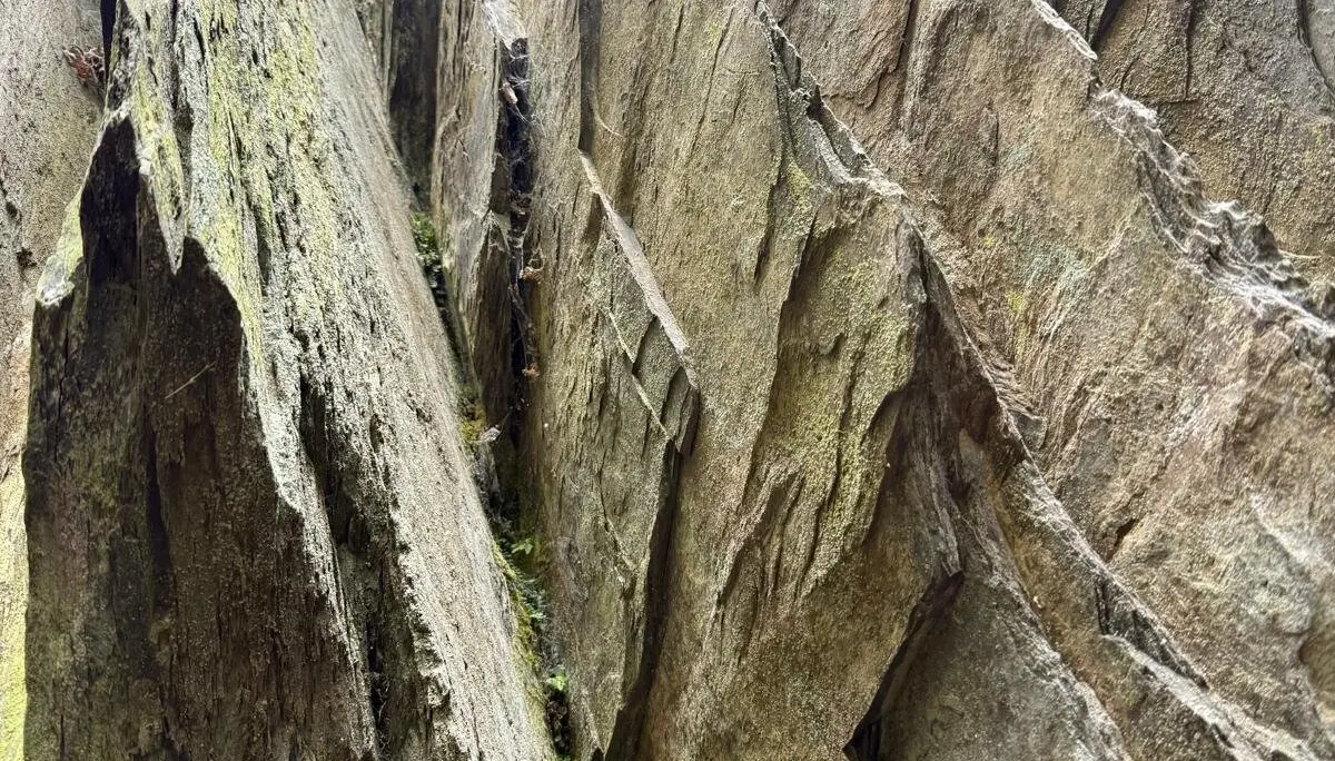 Beeindruckender Blickwinkel | © DAV Koblenz