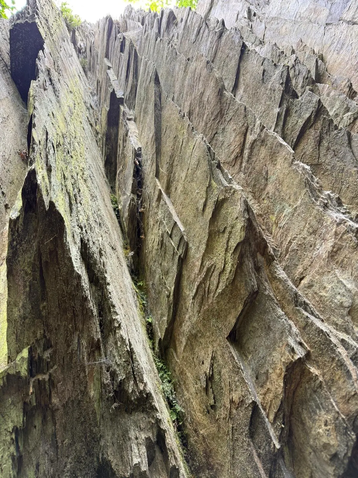 Beeindruckender Blickwinkel | © DAV Koblenz