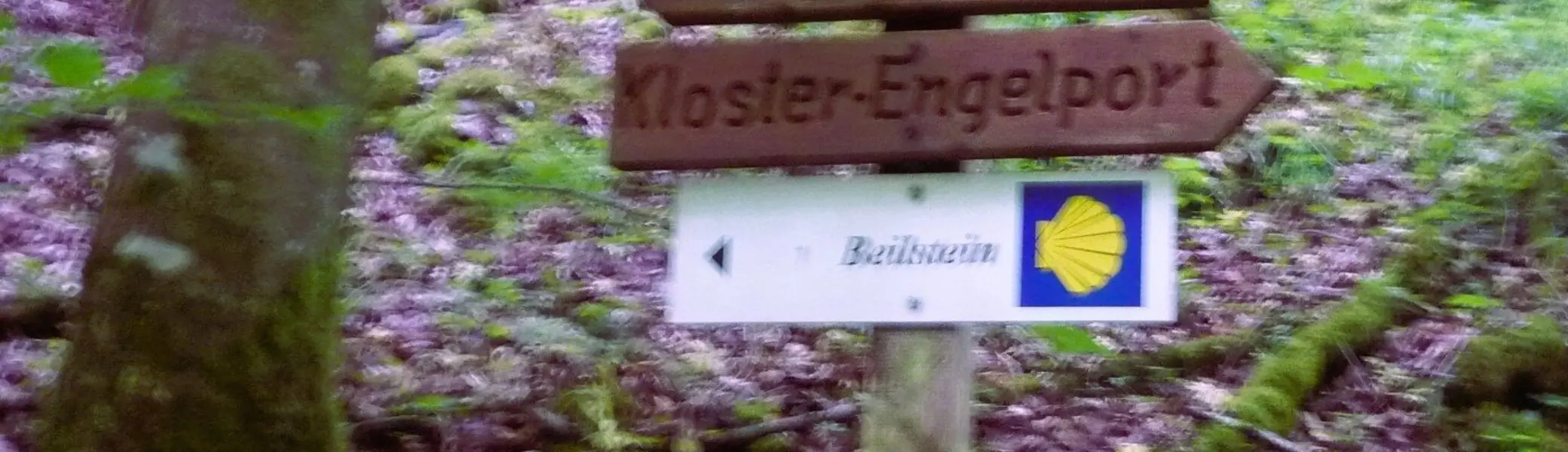 Wegehinweis | © DAV Koblenz