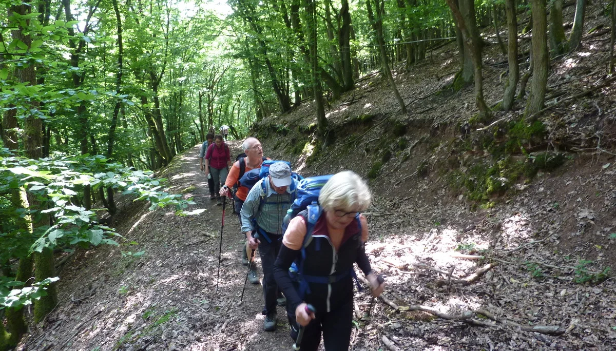 Entlang des Weges | © DAV Koblenz