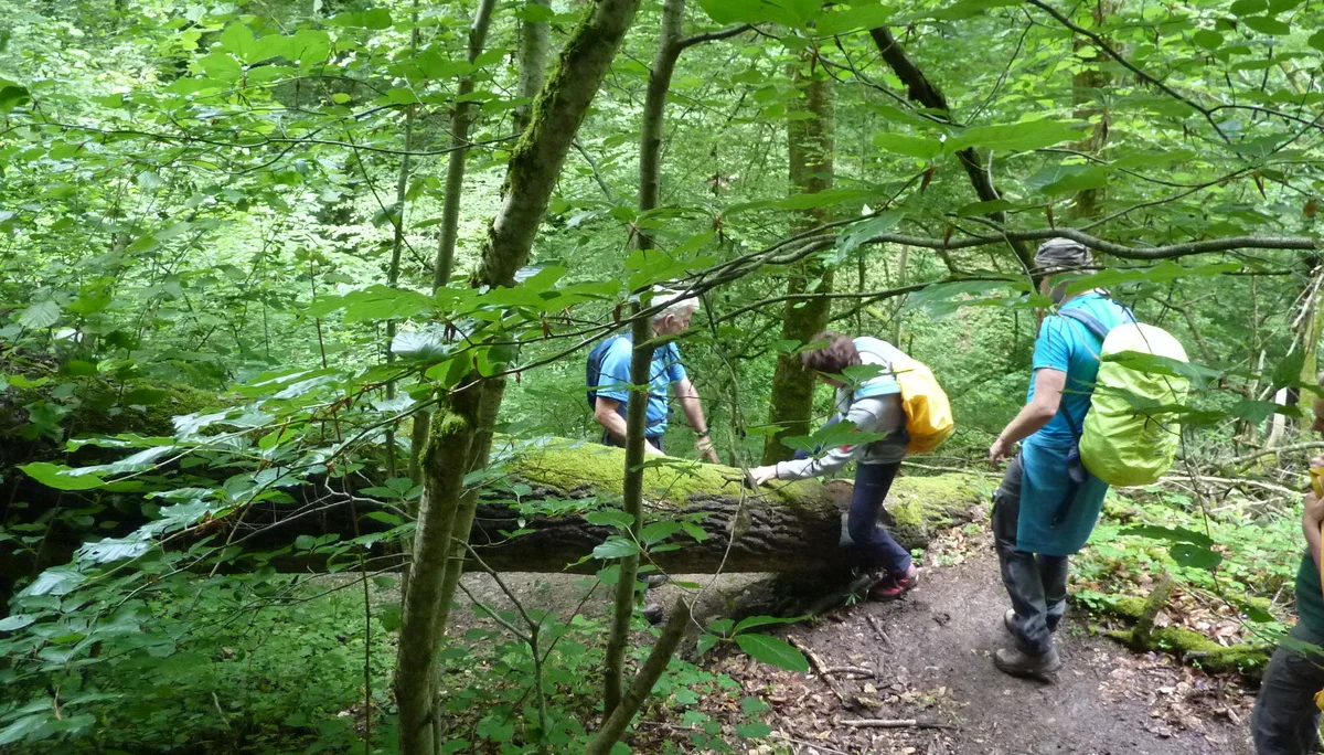 Noch ein kleiner Sprung | © DAV Koblenz