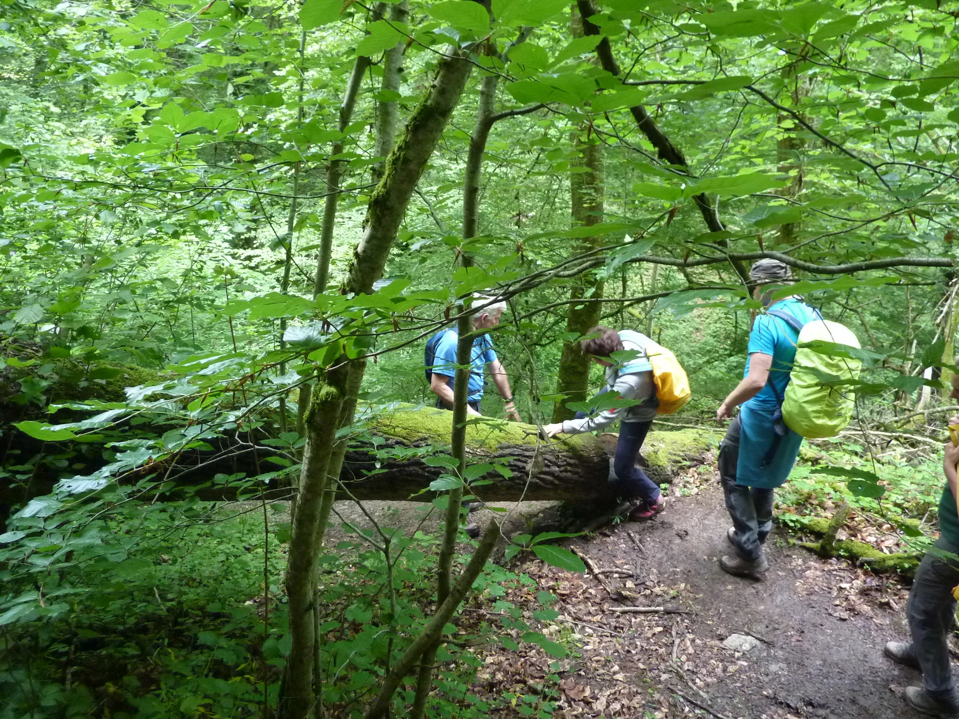 Noch ein kleiner Sprung | © DAV Koblenz
